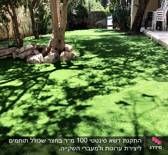 דשא ירוק ועצים בגינה מוצלת